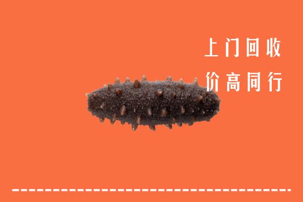 高价求购：通州区回收海参
