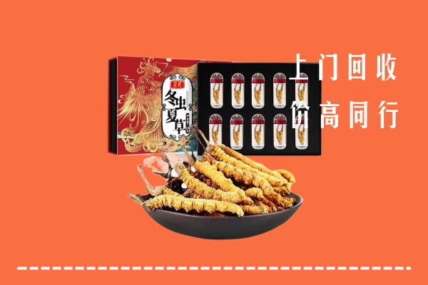 通州区回收虫草